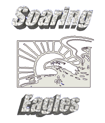 Soaring Eagles Logo